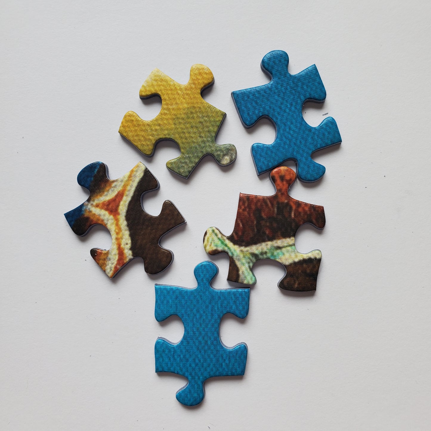 Sea Turtle Puzzle