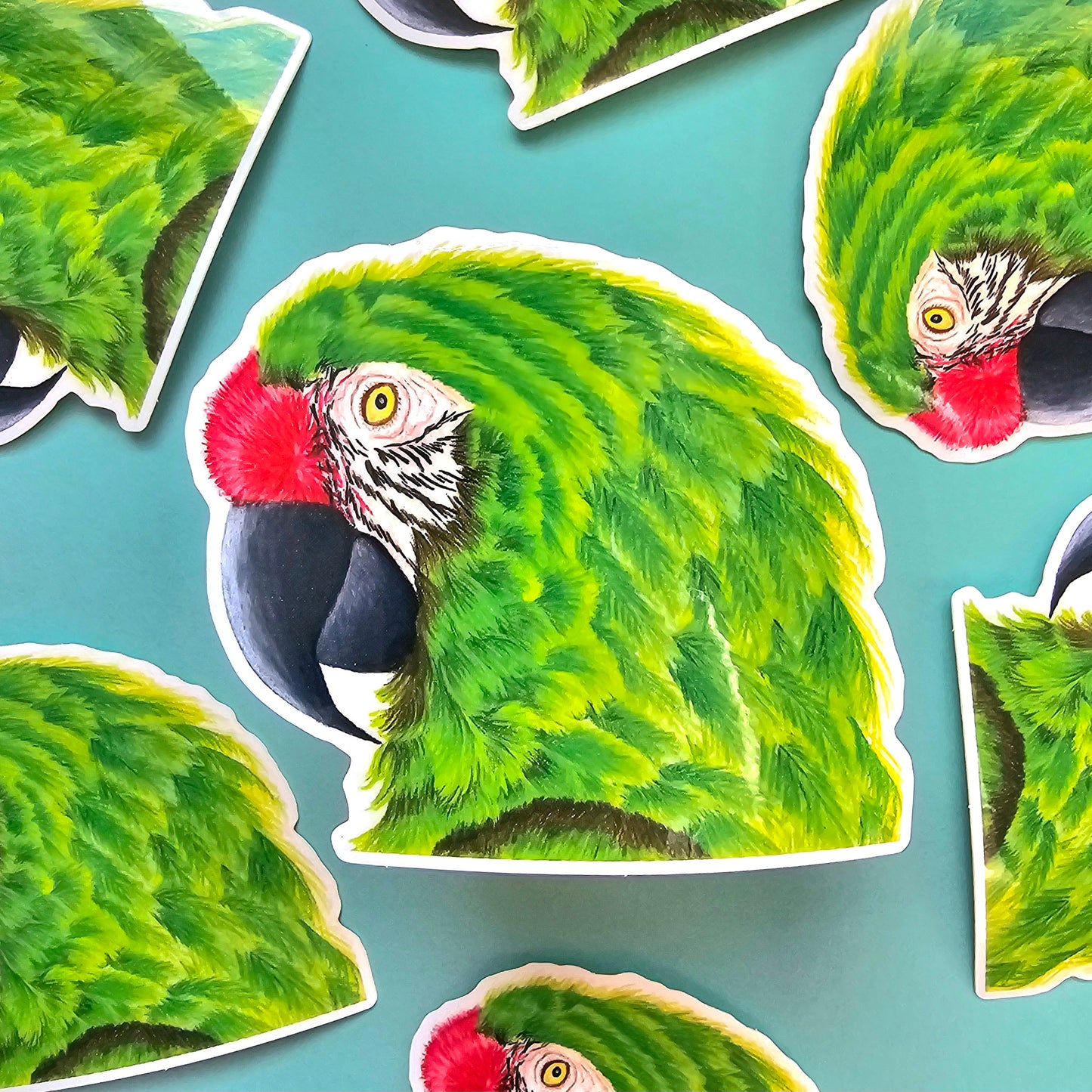Green Military Macaw Sticker