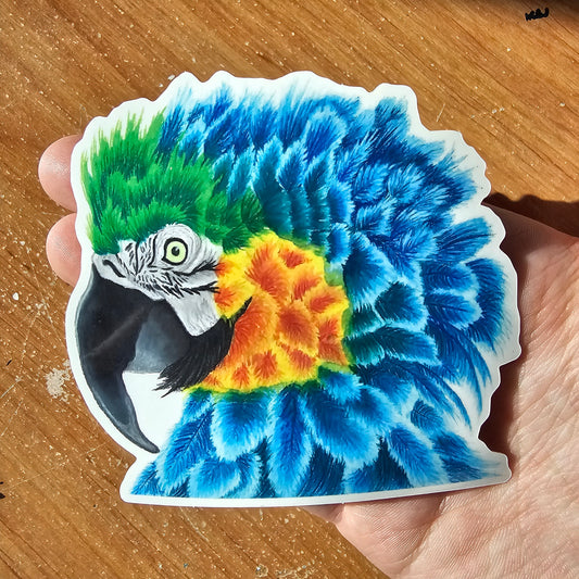 Blue and Gold Macaw Sticker