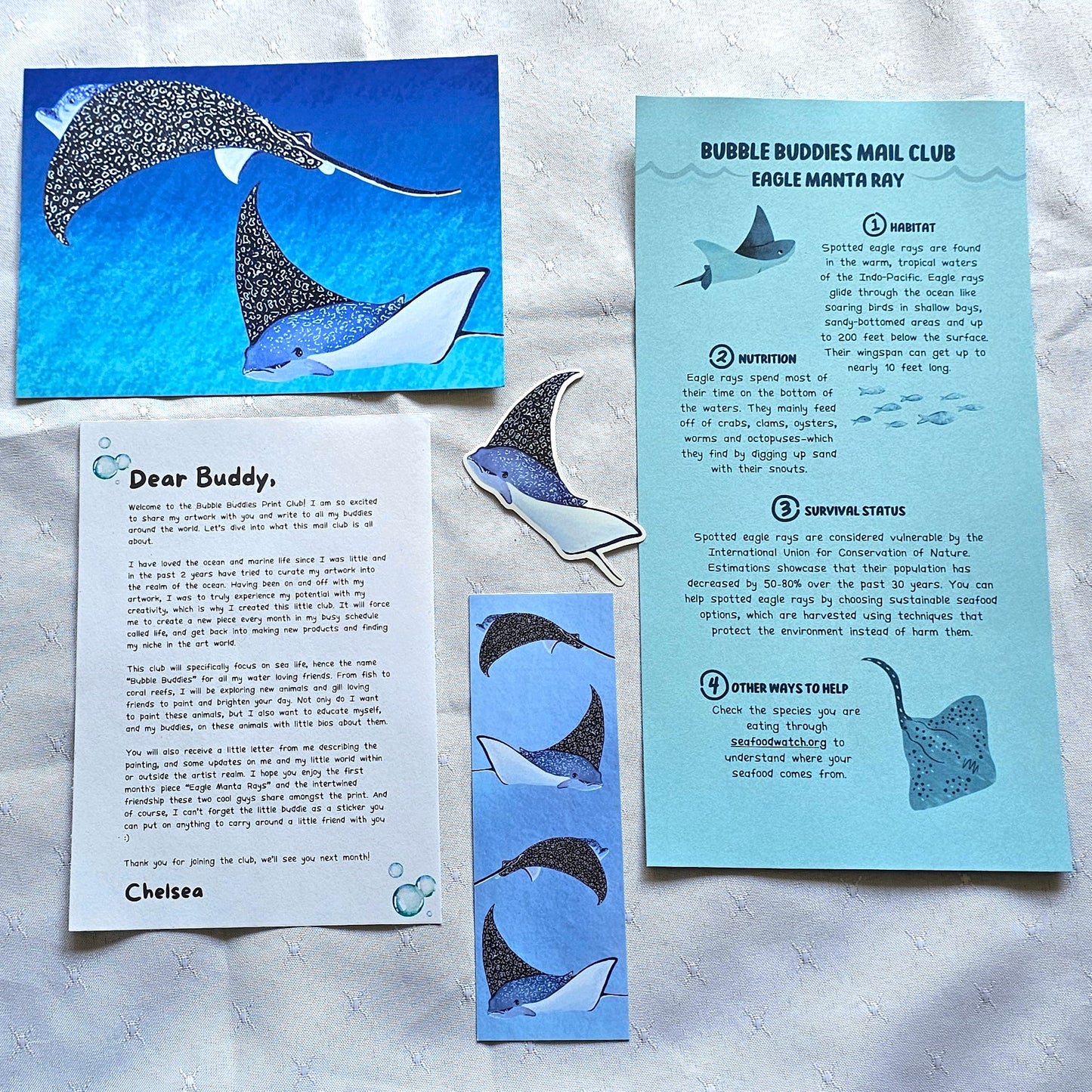 Spotted Eagle Ray- 1st Month of "Bubble Buddies Mail Club"