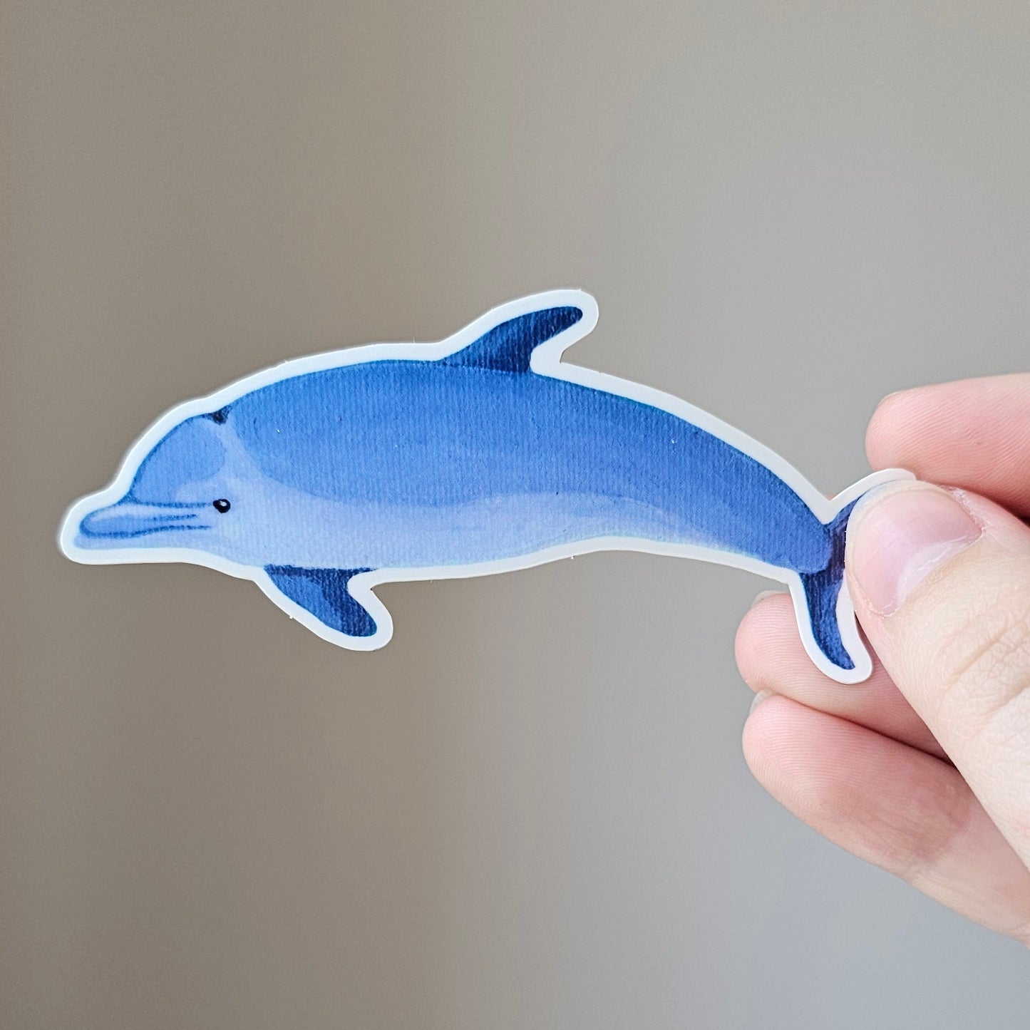 Dolphin Sticker