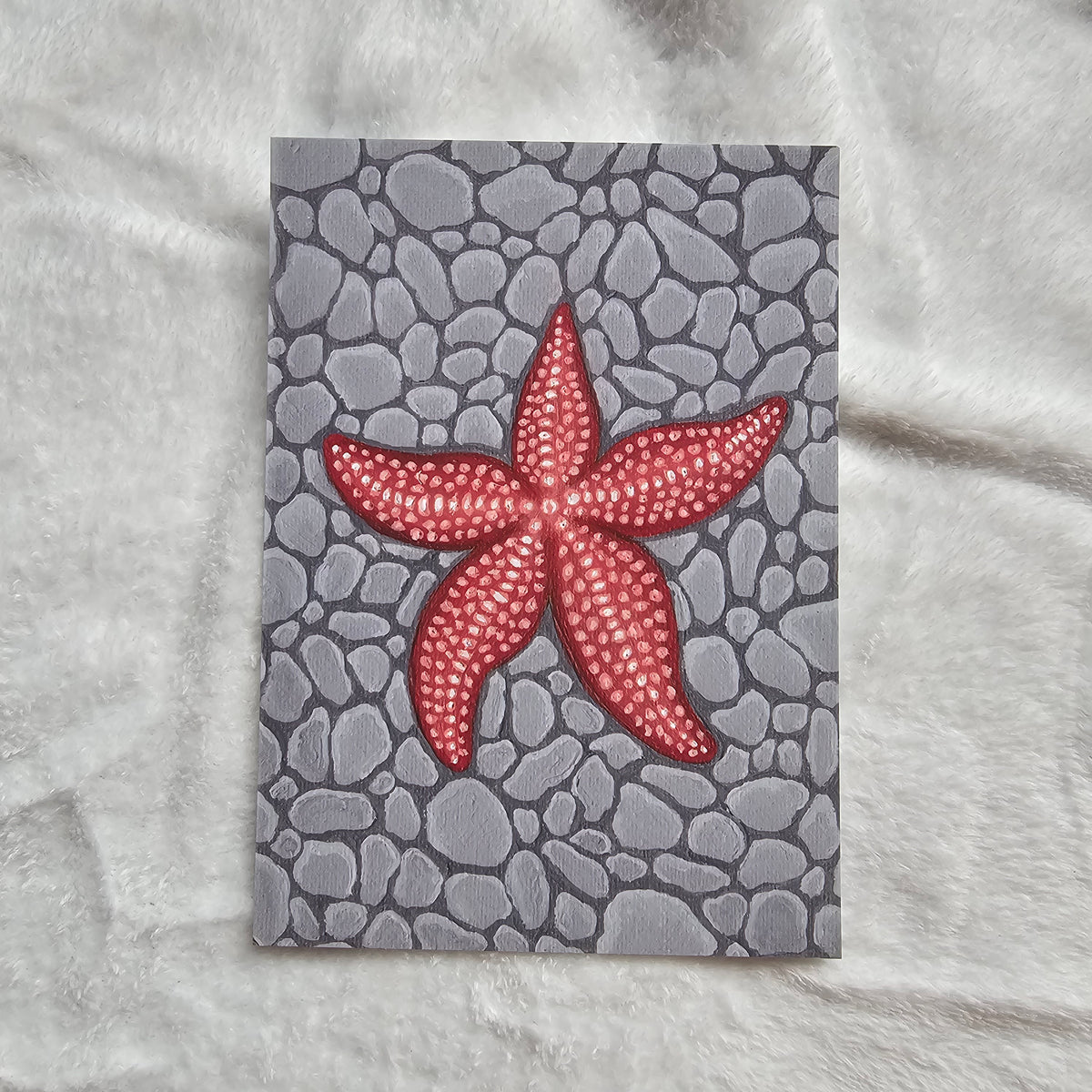 Starfish- 5th Month of "Bubble Buddies Mail Club"