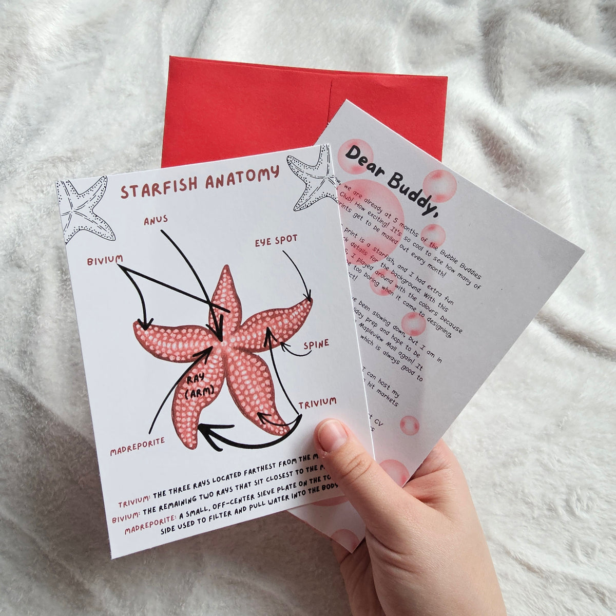 Bubble Buddies Monthly Print Club