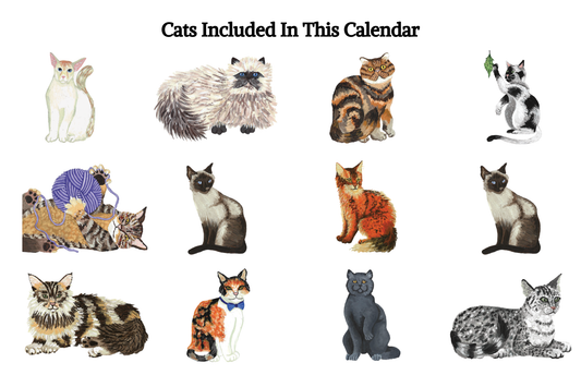 2027 Cat Calendar