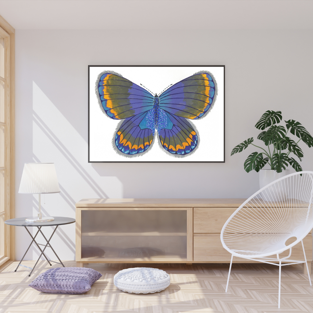 Karner Blue Butterfly Print