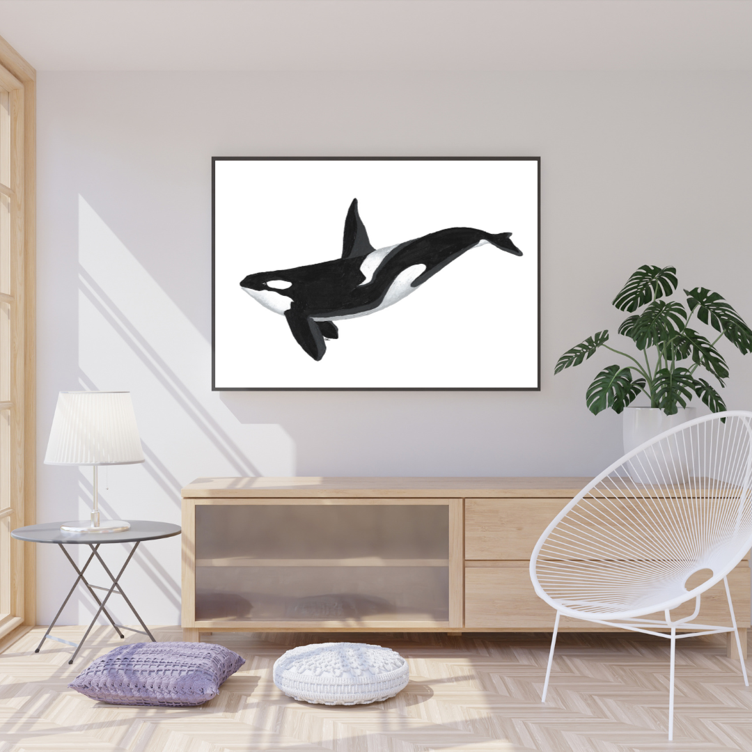 Kiska the Orca Print
