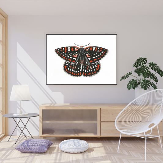 Quino Checkerspot Butterfly Print