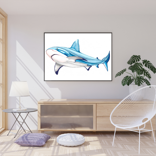 Reef Shark Print