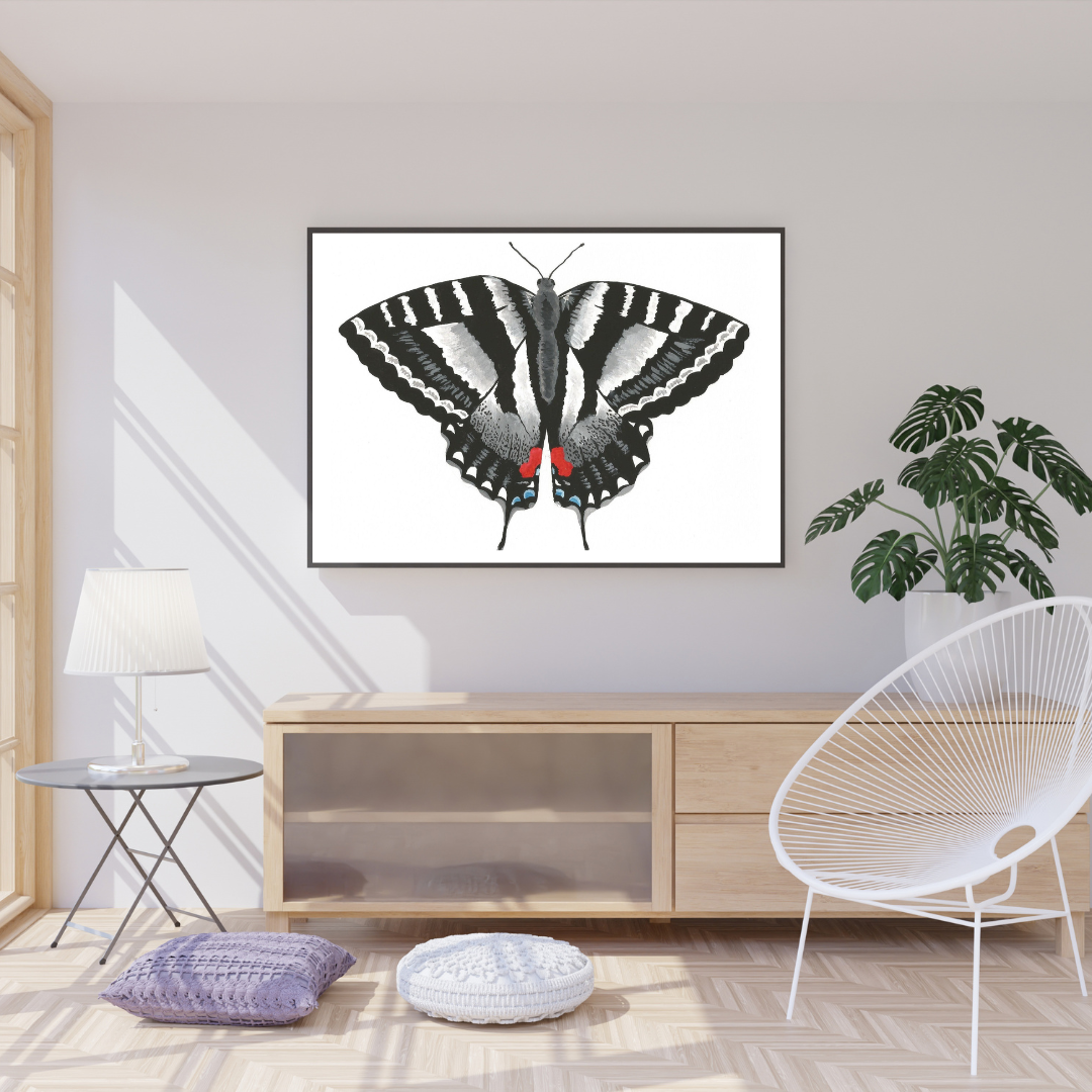 Zebra Swallowtail Butterfly Print