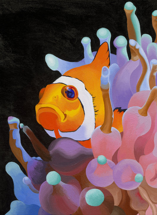Clownfish Puzzle