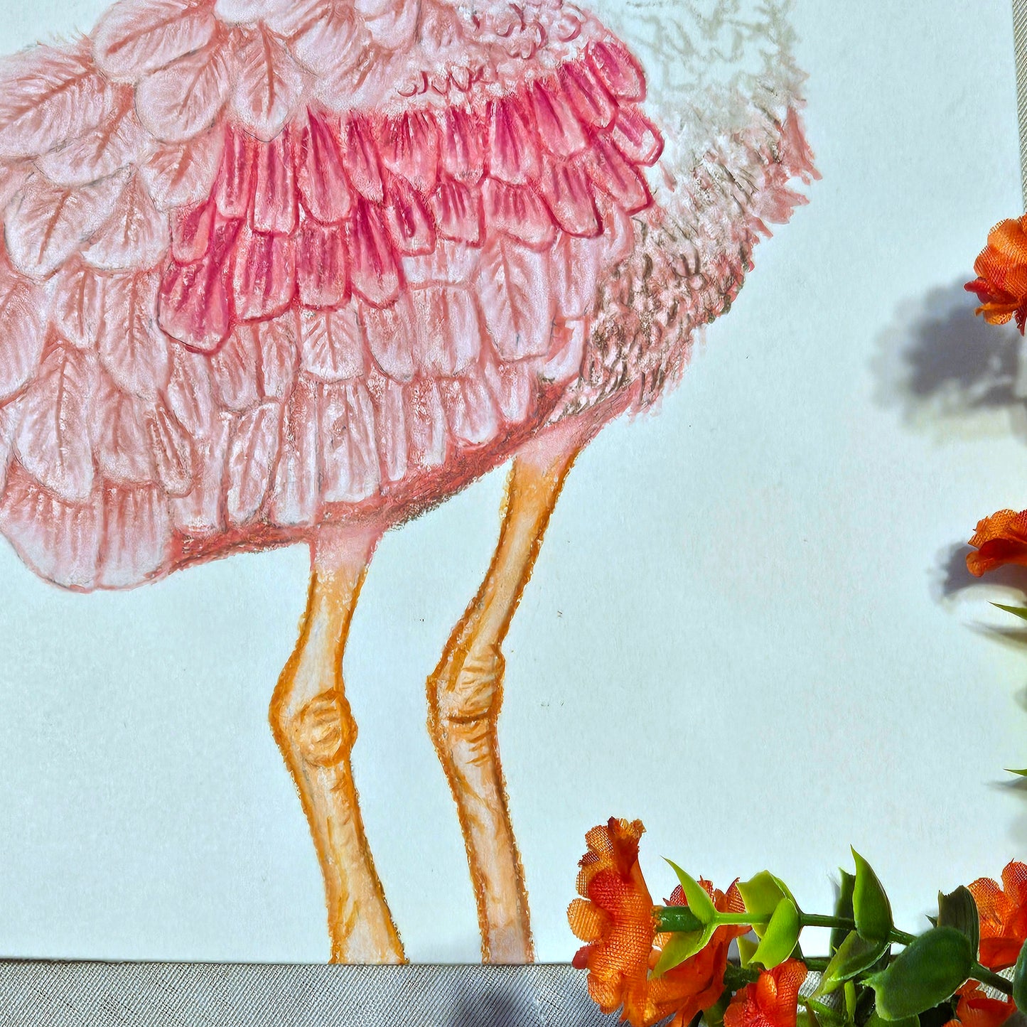 Roseate Spoonbill Drawing