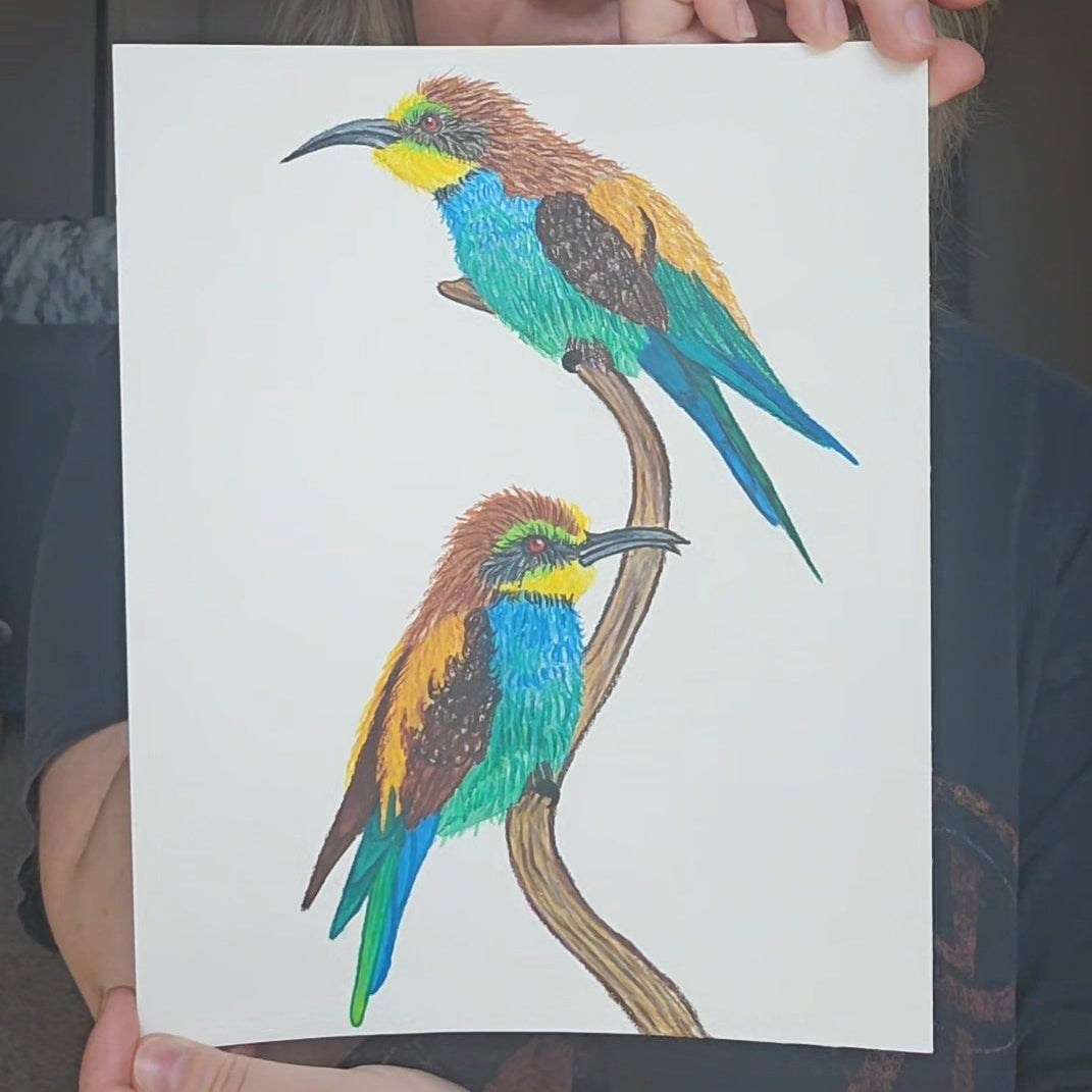 European bee-eaters