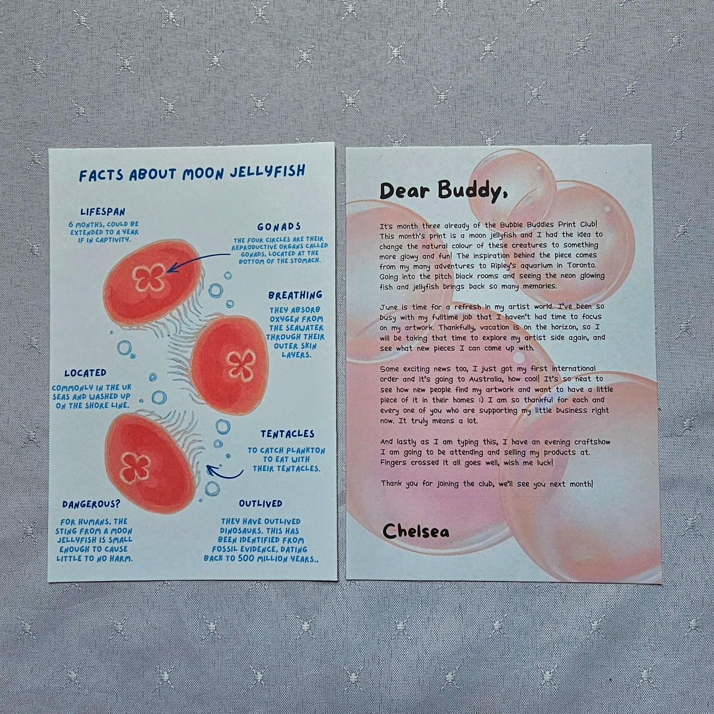 Moon Jellyfish- 2nd Month of "Bubble Buddies Mail Club"
