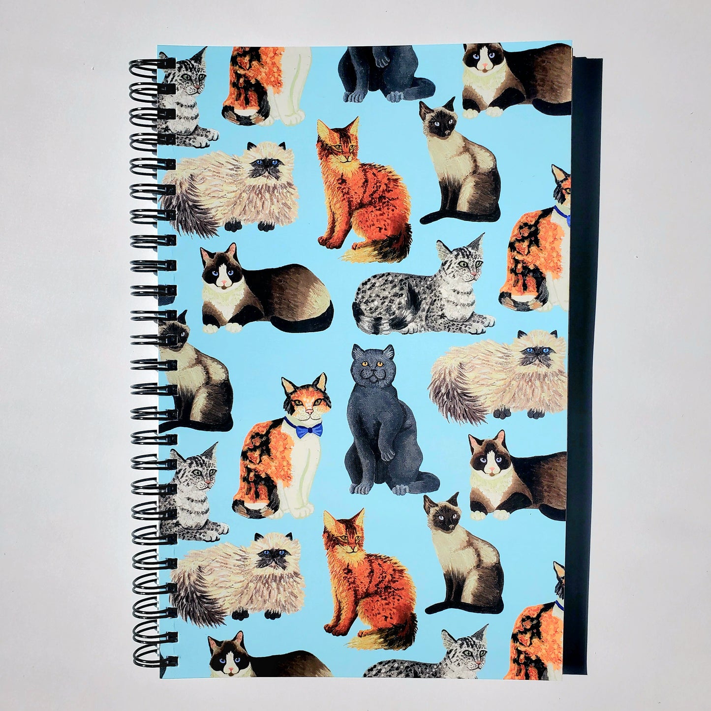 Cat Notebook