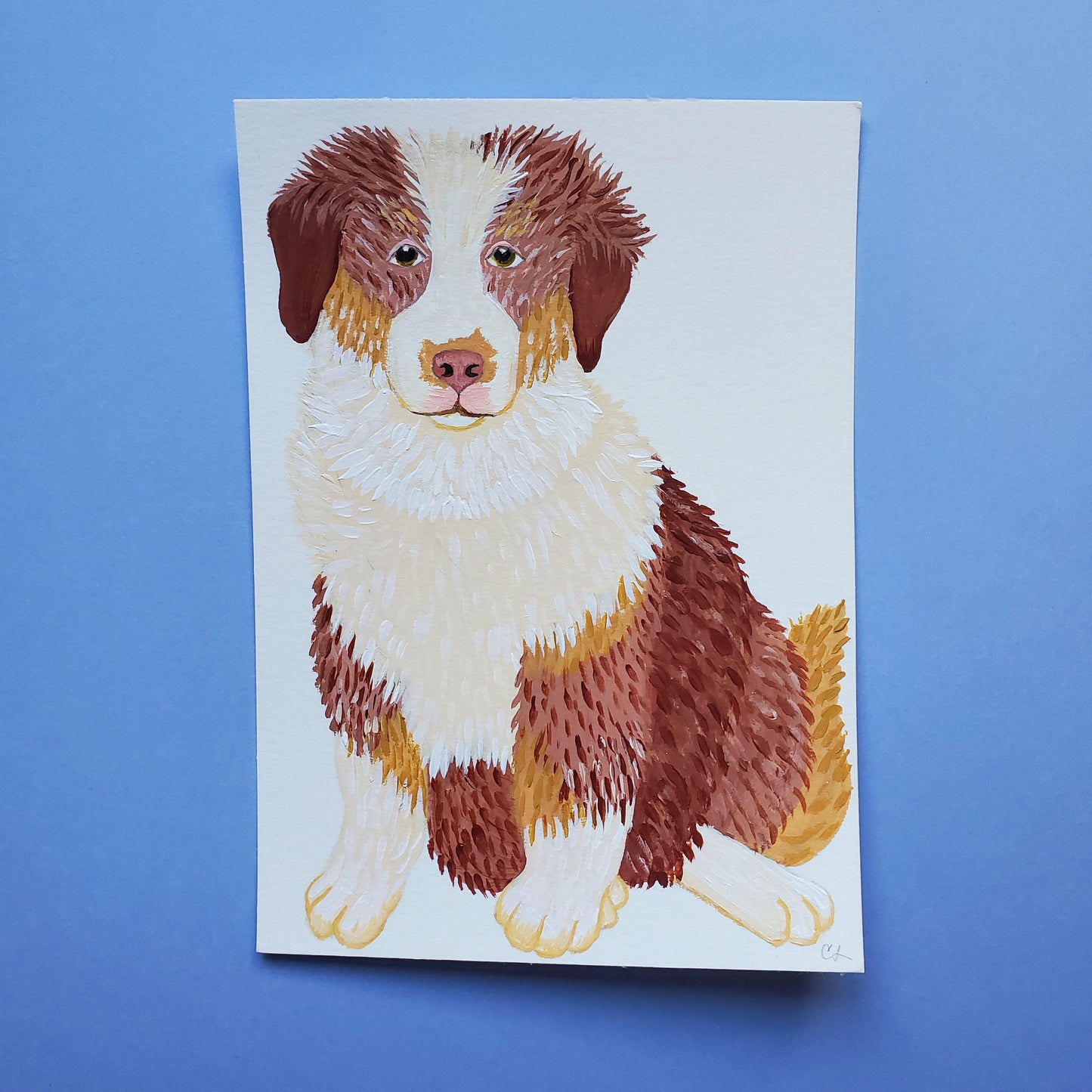 Aussie Shepherd Painting