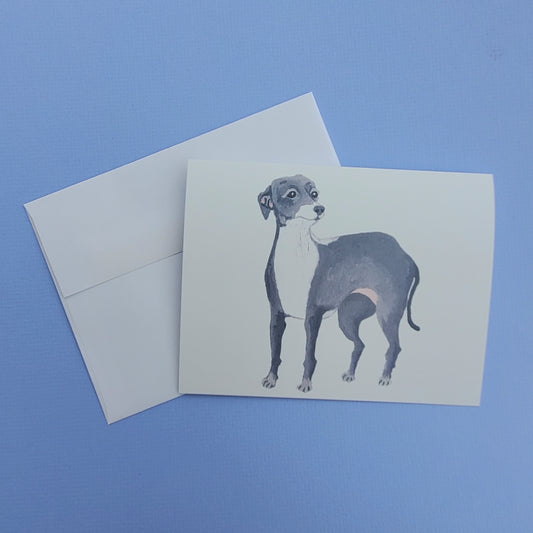 Italian greyhound, Kermit Greeting Card