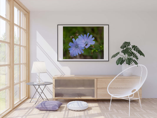 Blue Flower Photo Print