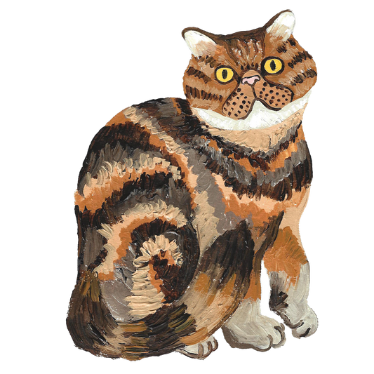 Exotic Shorthair Cat Sticker
