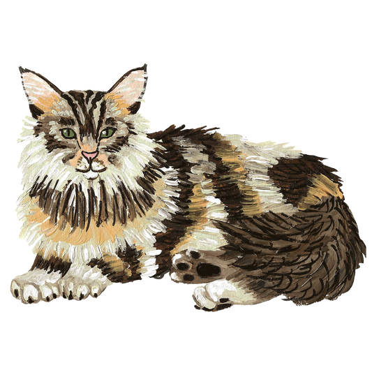 Maine Coon Cat Sticker