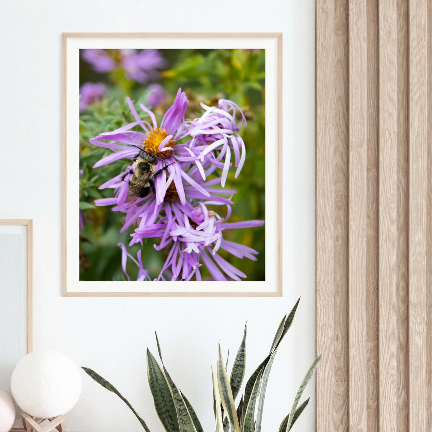 Pollination Photo Print