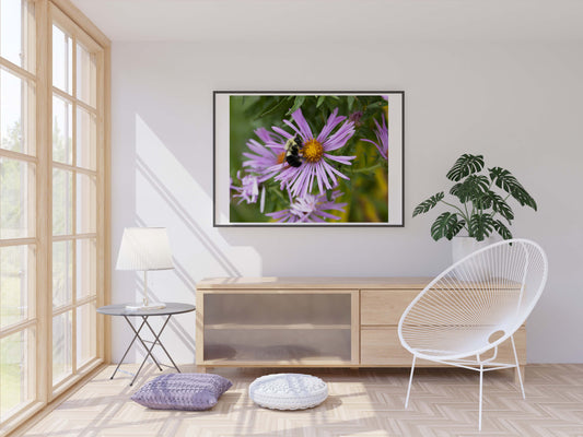 Pollination Photo Print