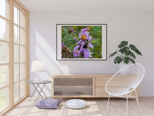 Pollination Photo Print