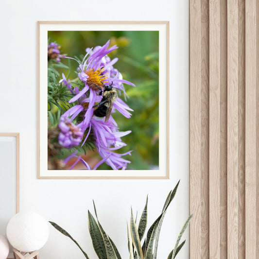 Pollination Photo Print