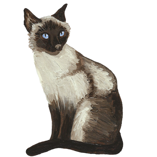 Siamese Cat Sticker