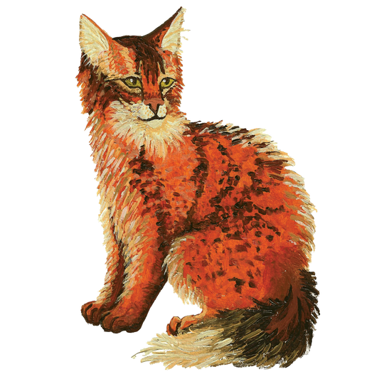 Somali Cat Sticker