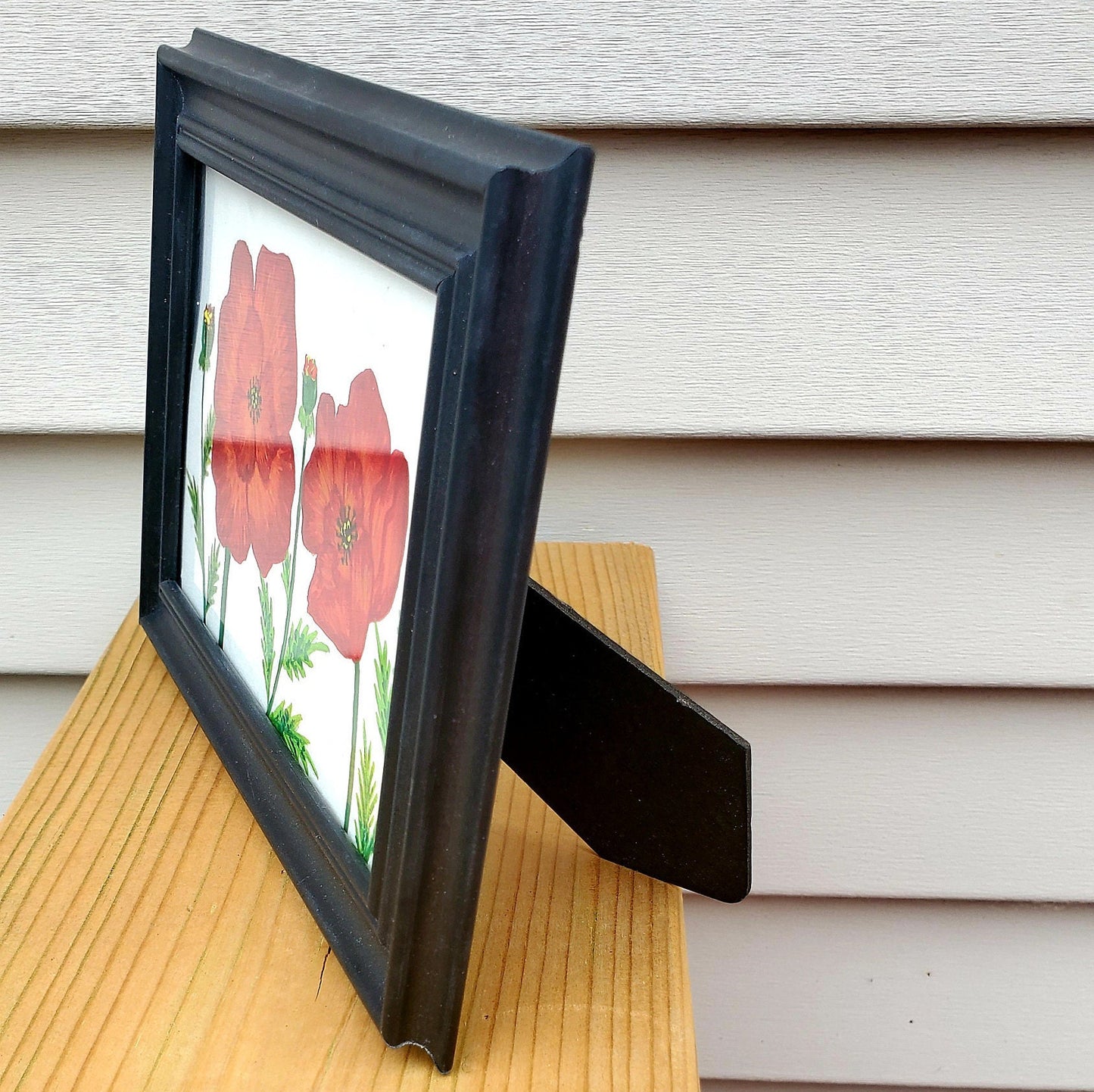 Kaffir Lilly Framed Painting