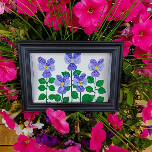 Viola Alpina Flower Framed Painting