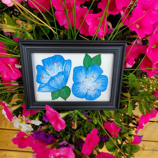 Nemophila Flower Framed Painting