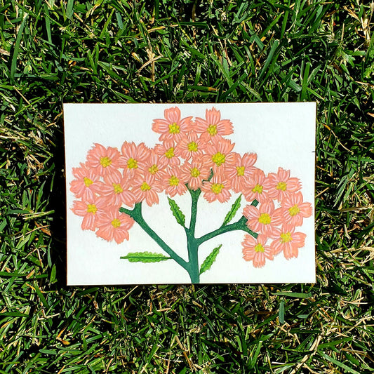 Yarrow Flower Framed Painting