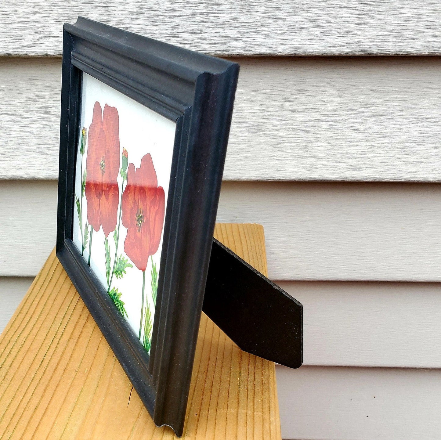 Bachelors Button Framed Painting
