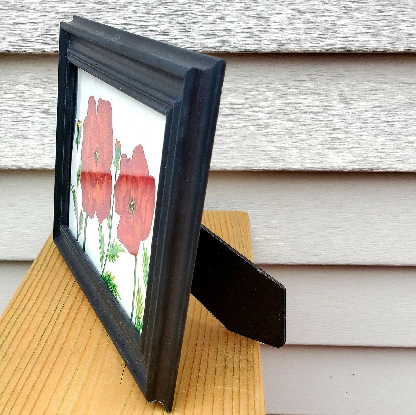 African Daisy Framed Painting