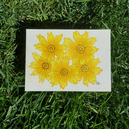 Coreopsis Flower Framed Painting