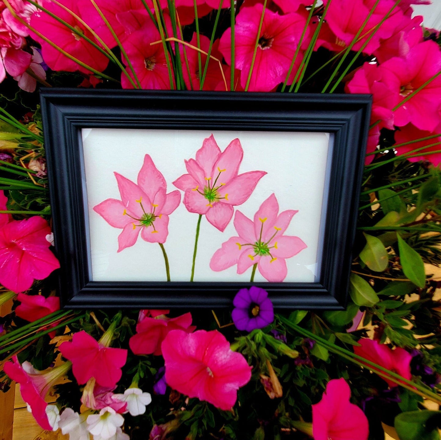 Zephyranthes Flower Framed Painting