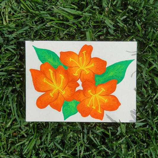 Kaffir Lilly Framed Painting