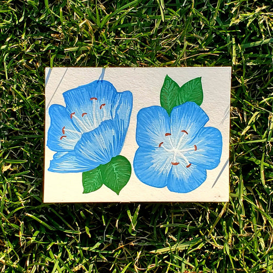 Nemophila Flower Framed Painting