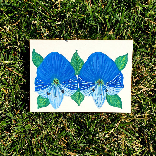 Speedwell Flower Framed Painting
