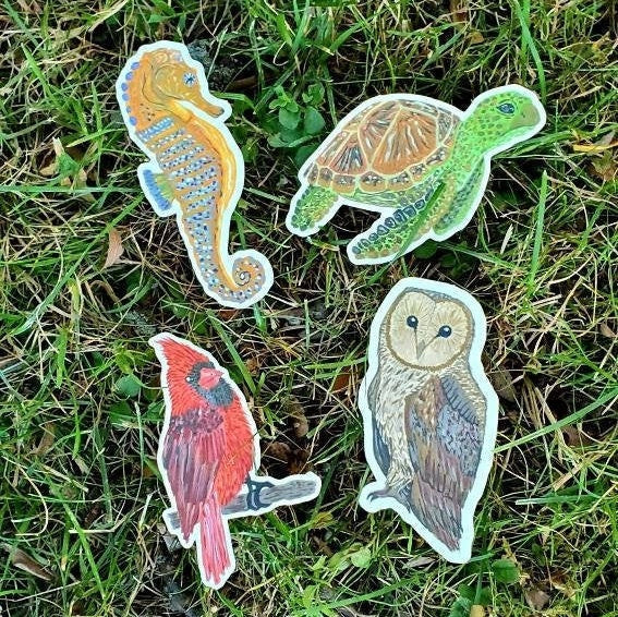 Owl Sticker
