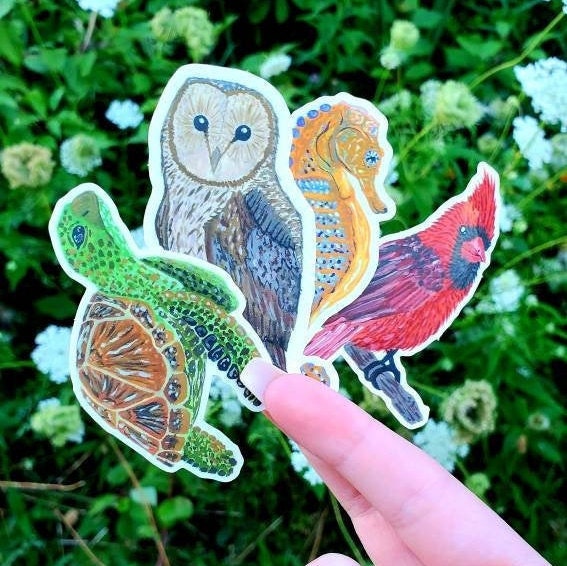 Owl Sticker
