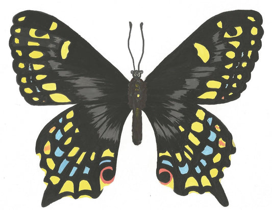 Black Swallowtail Butterfly Painting