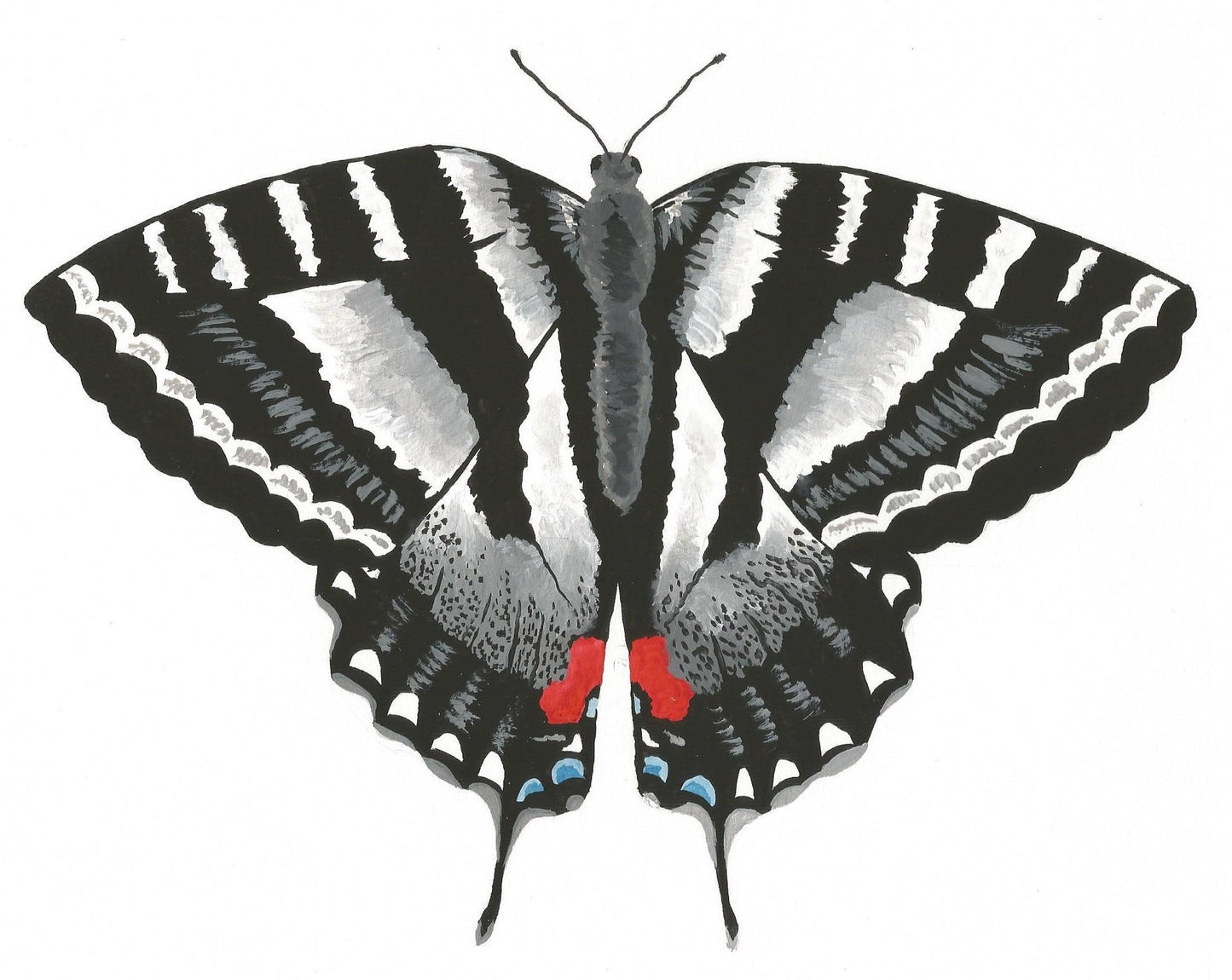 Zebra Swallowtail Butterfly Painting