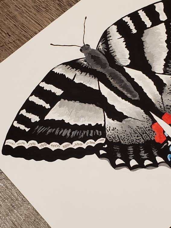 Zebra Swallowtail Butterfly Painting