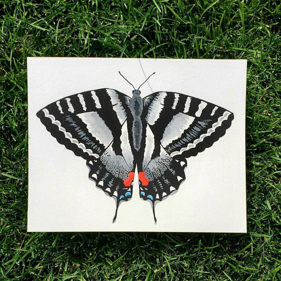 Zebra Swallowtail Butterfly Painting