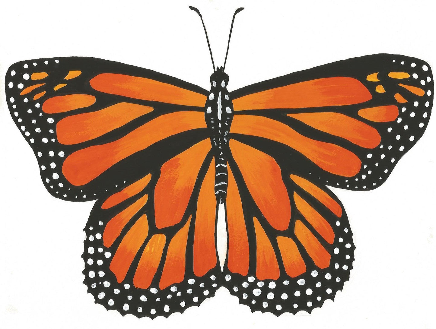 Monarch Butterfly Painting