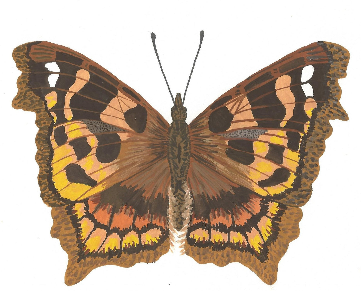 Tortoiseshell Butterfly Painting