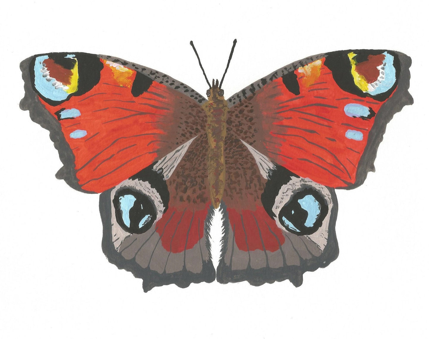 Peacock Butterfly Painting