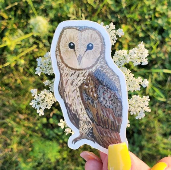 Owl Sticker